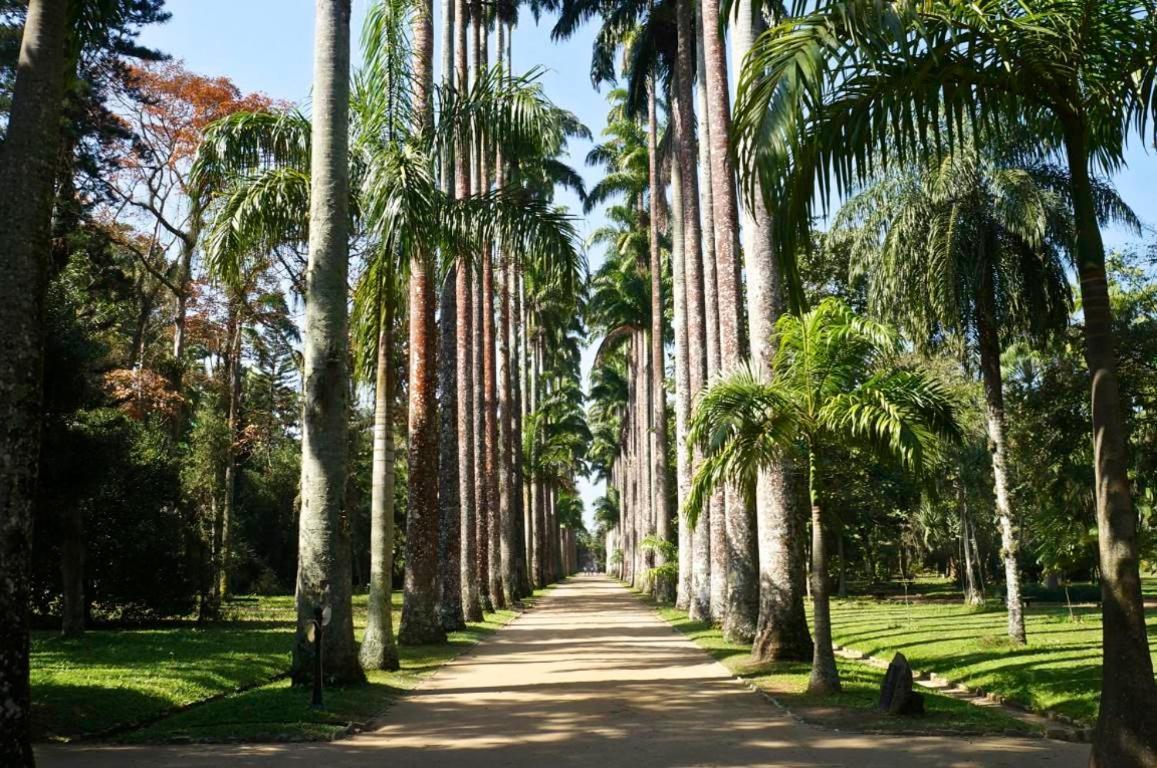 Rio Claro Rio de Janeiro